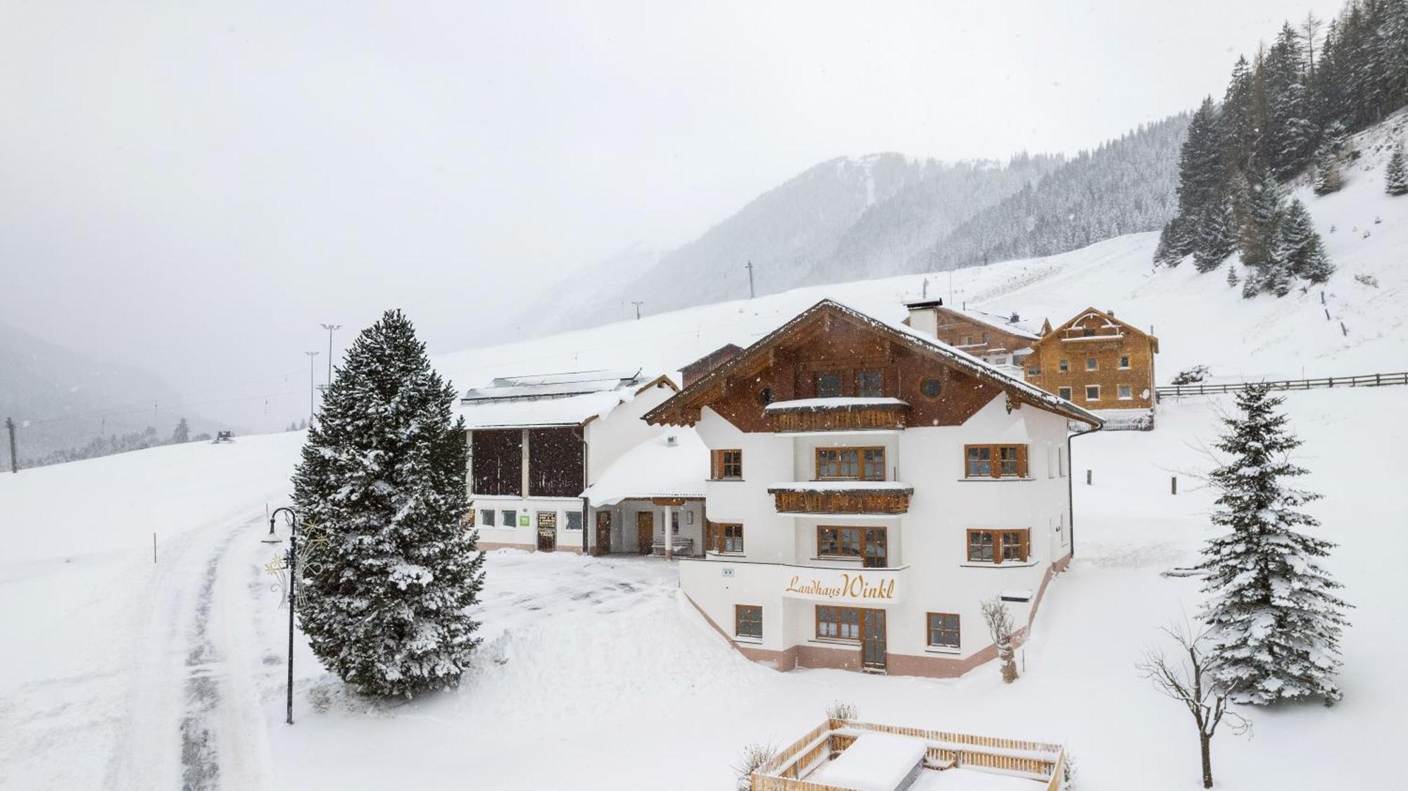 Winkl Apartment Ischgl